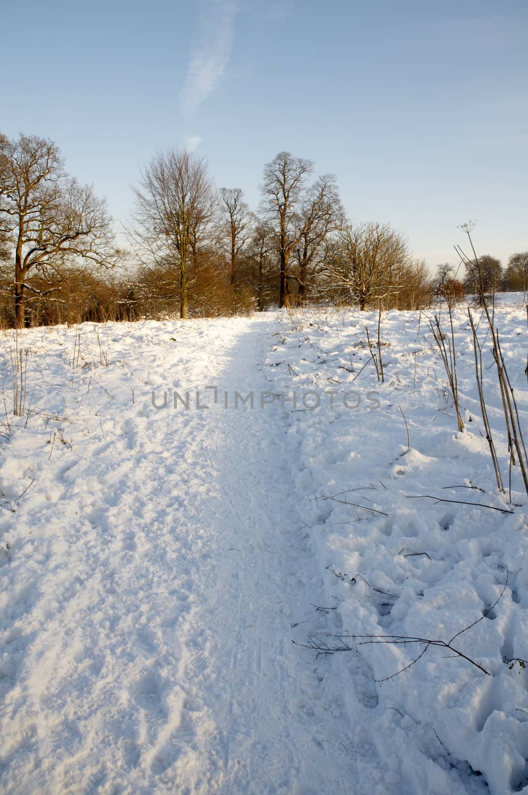 A footpath covered in snow with trees in the background