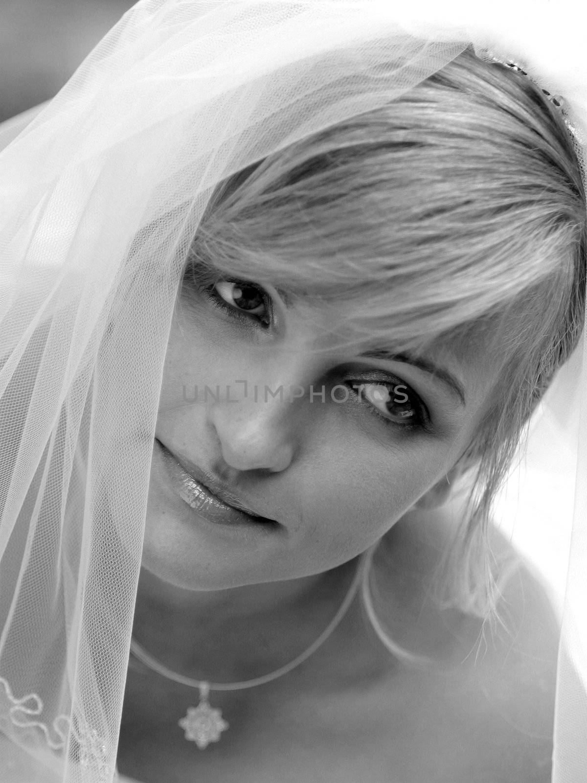 Portrait of beautiful bride in traditional wedding dress and veil.