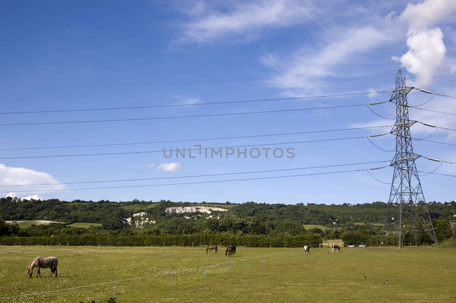 A pylon in a field in the countryside