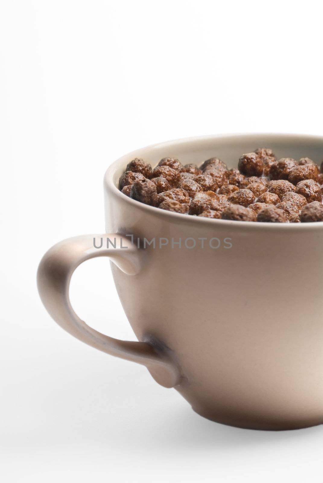 A bowl of chocolate flakes with milk. Very healthy.