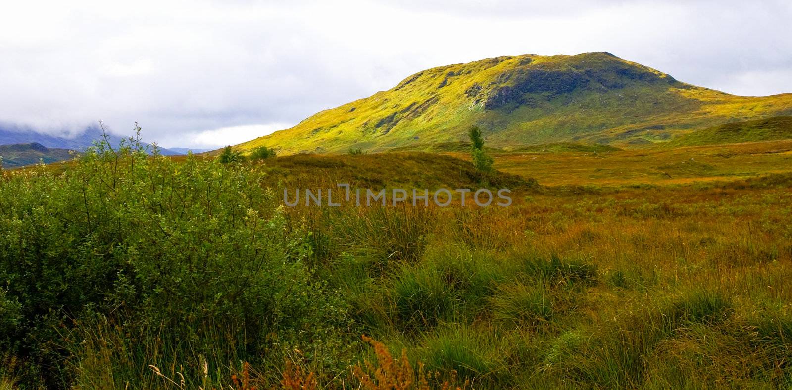 colorful mountain scape covered with autumn colored vegetation
