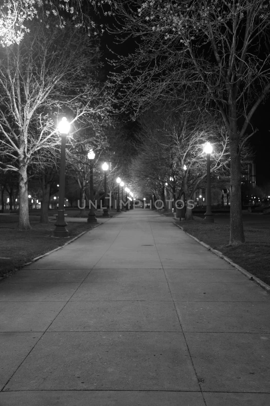 City Park Sidewalk by jasony00
