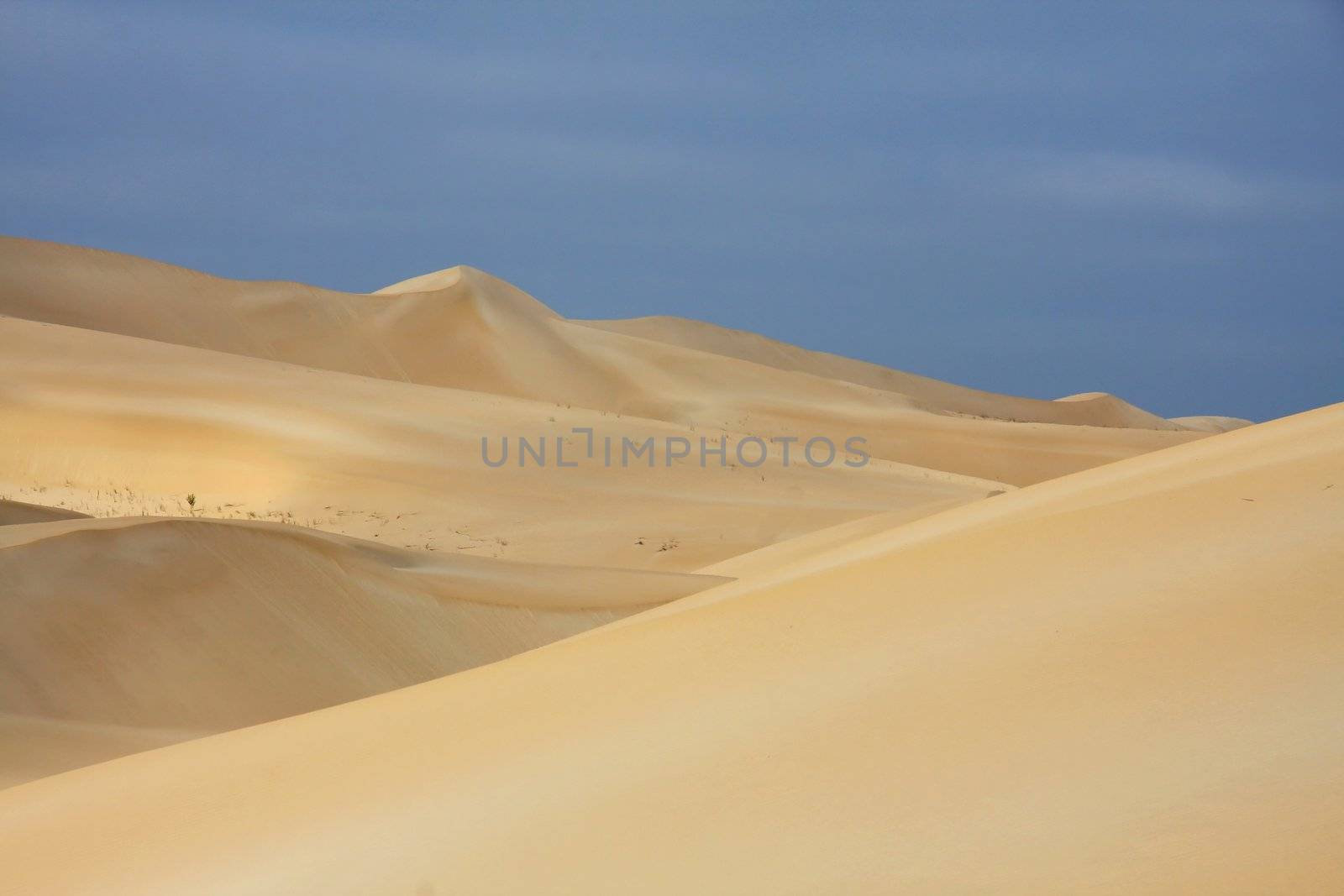 Empty yellow coastal sand dunes and blue sky