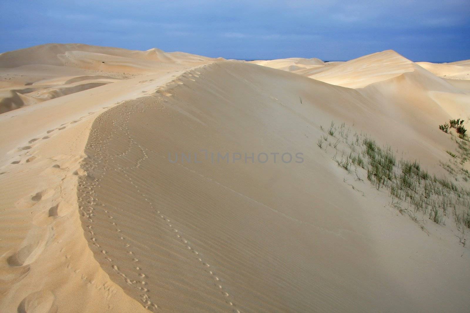 Coastal sand dunes with foot prints and blue sky