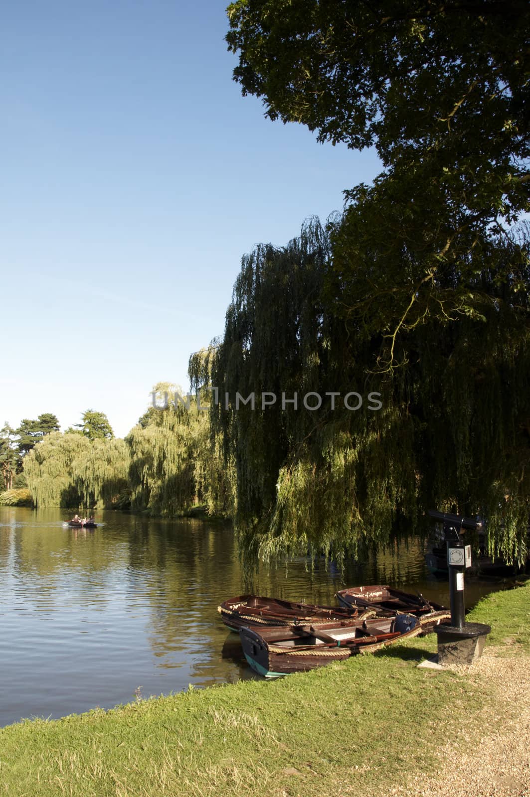 Row boats by the side of a lake