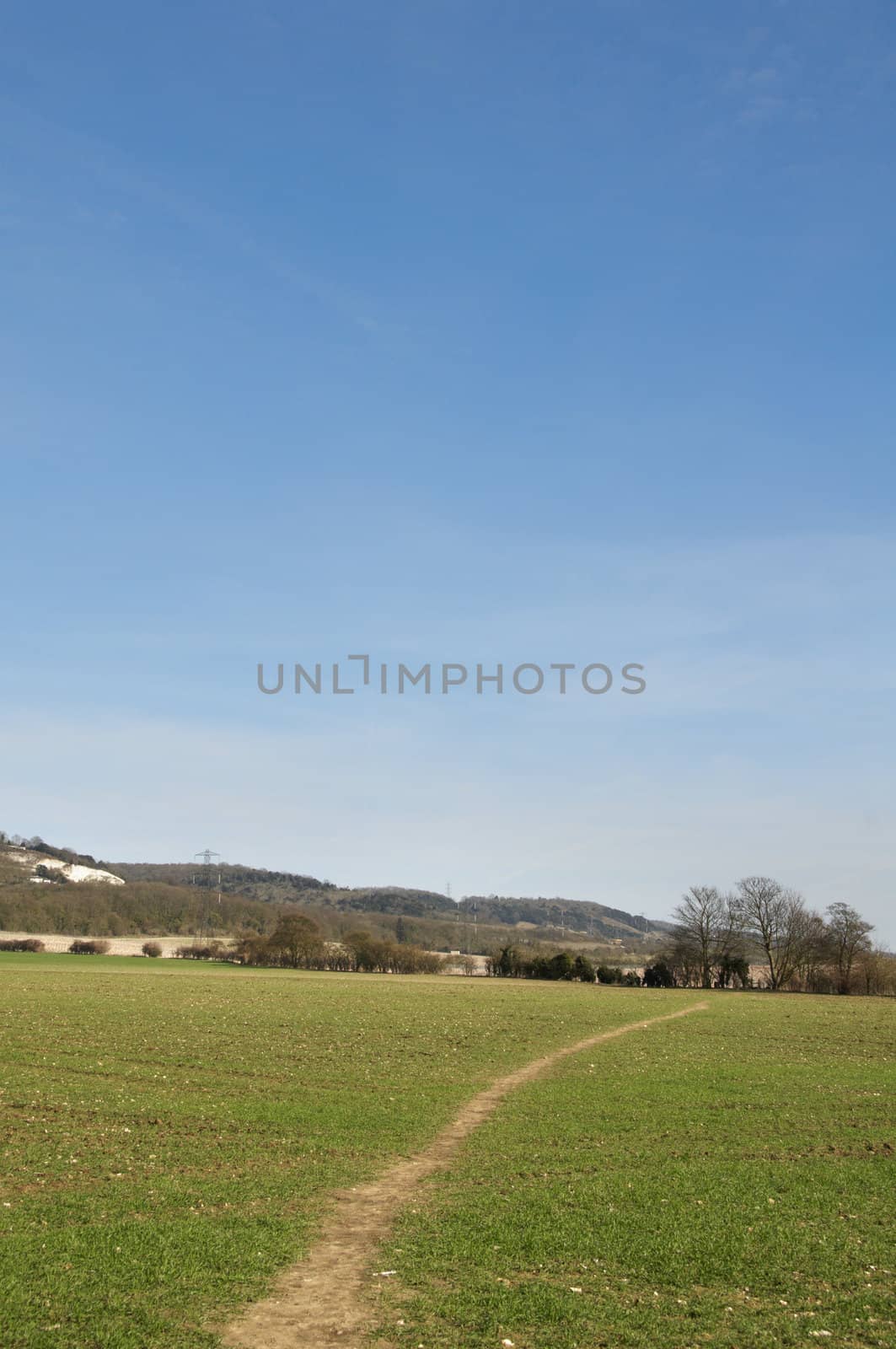 A view of a footpath through a field