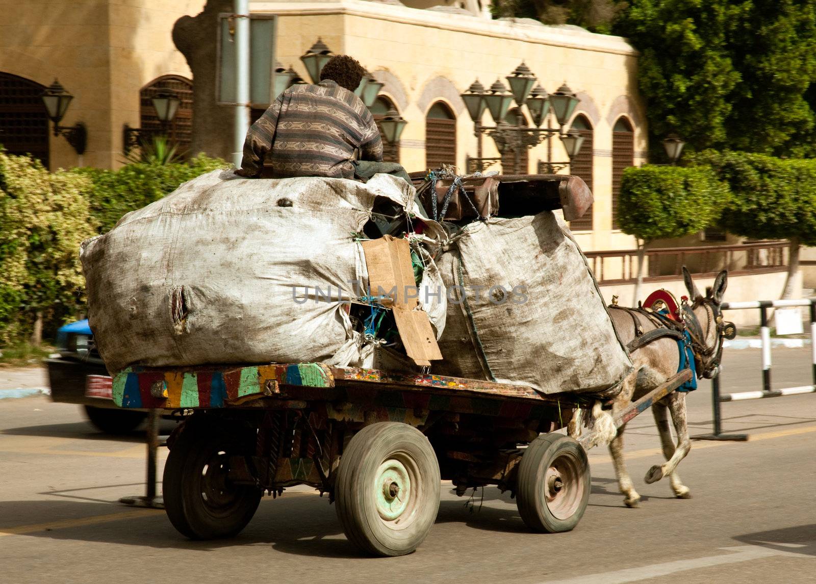 Cairo street with Coptic trash collection on horse and cart prior to recycling