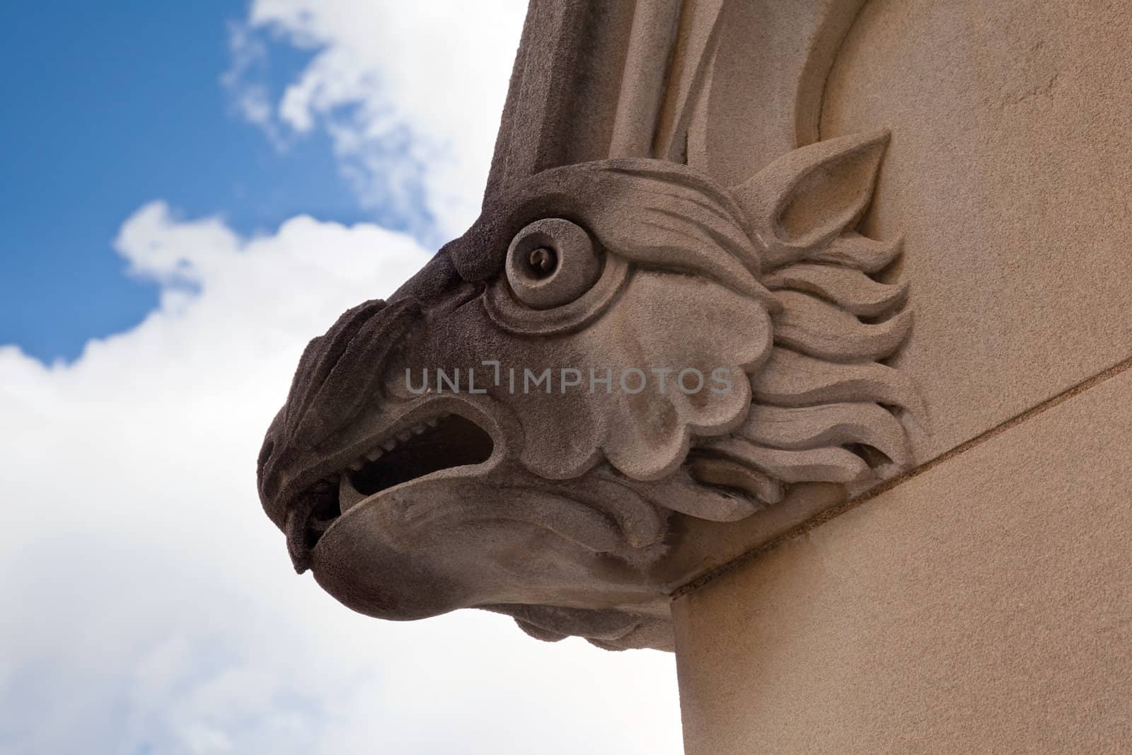 Close up of carved head of bird or dragon on church