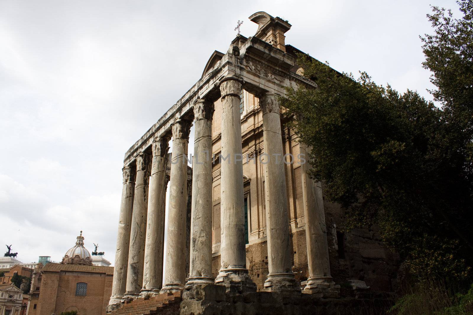 The Ancient Forum, Rome Italy
