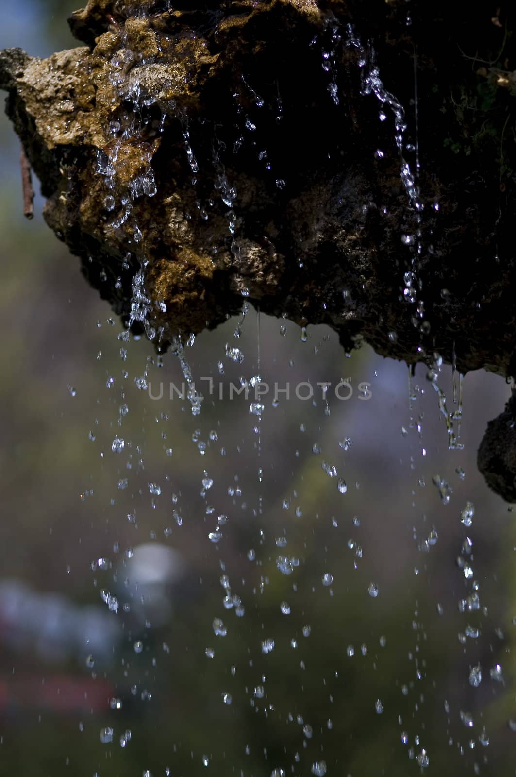 close-up on water in motion falling down on rocks, in a park