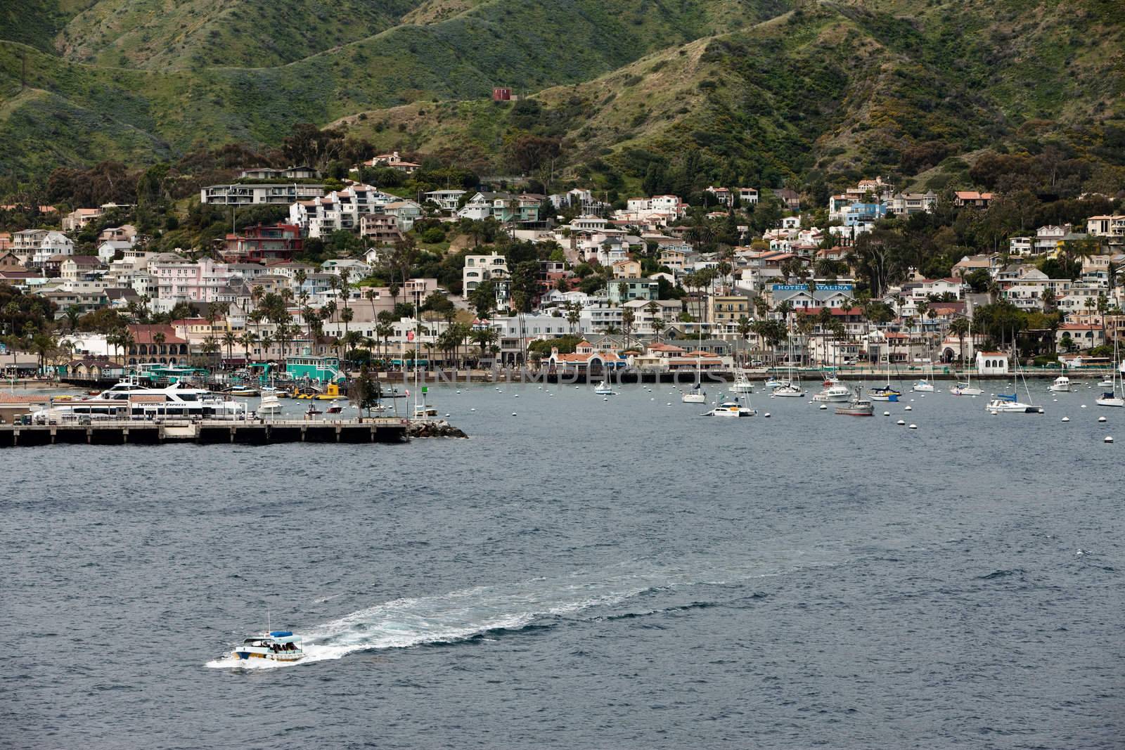Avalon on Catalina Island by Creatista