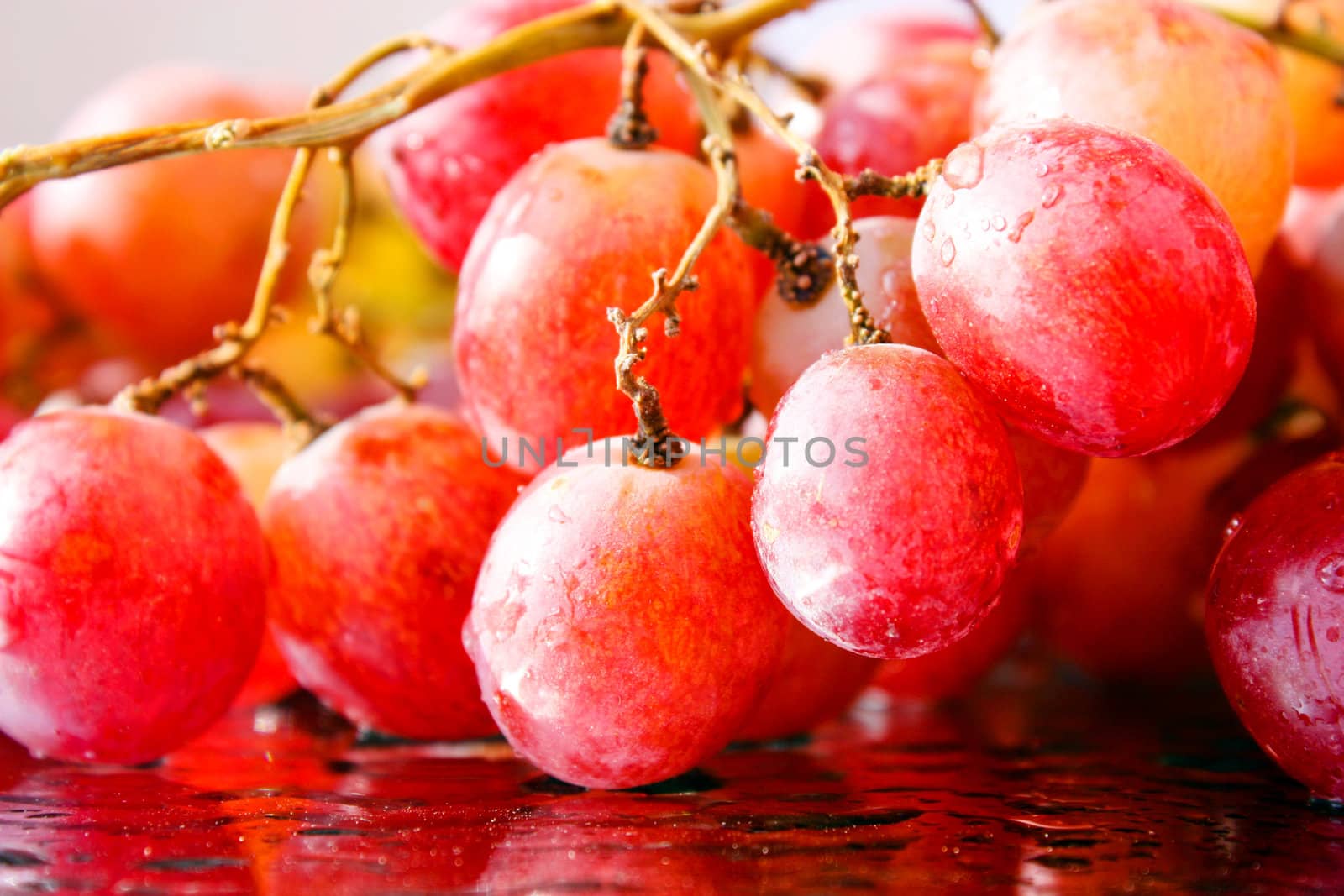 vine, juicy grapes, grape berries large, a reflection of grapes, aromatic grape, a new crop, fresh berries