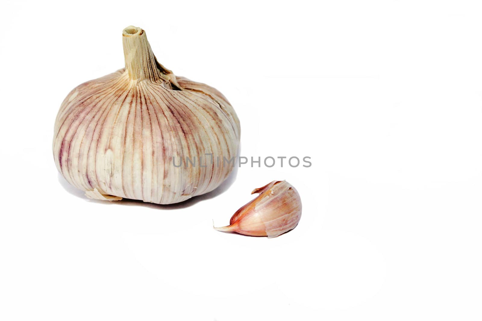 garlic by Lyudmila