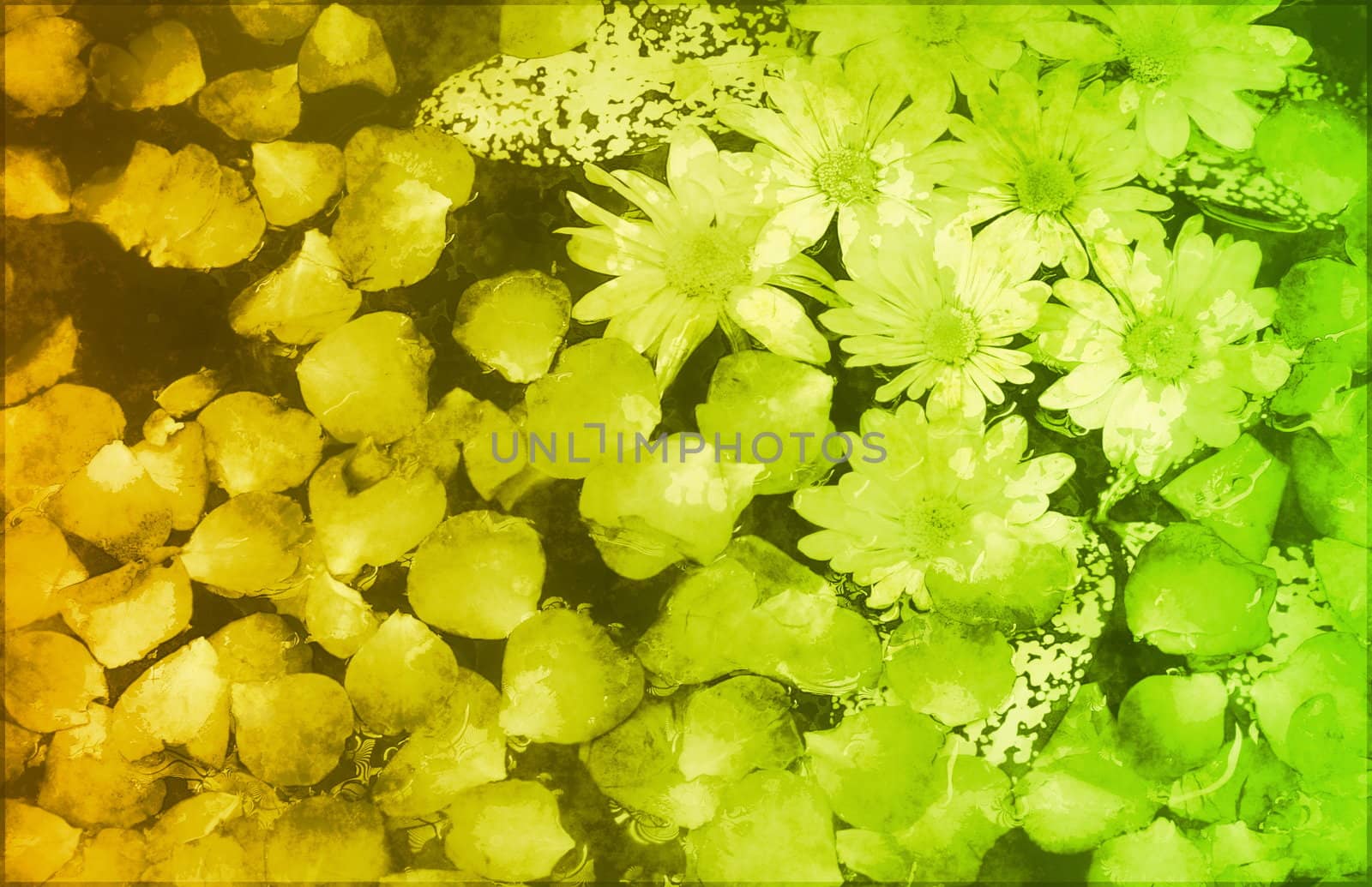 Fancy Floral Grunge Background Abstract a Art