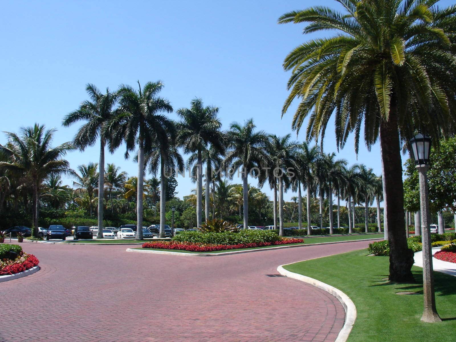 Palm Beach area,Florida,March 2010