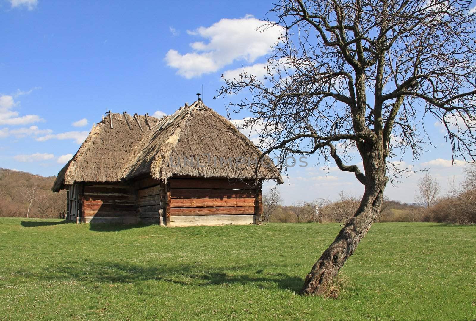 Barn in the rural landscape.