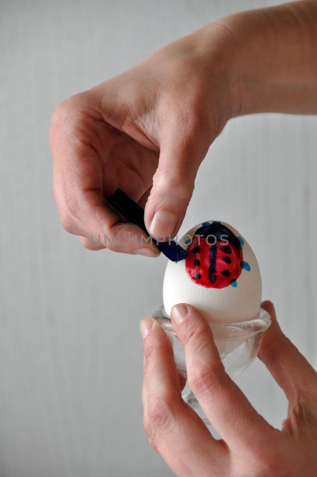 Female hands coloring an easter egg - painting a ladybug on it - behind gray