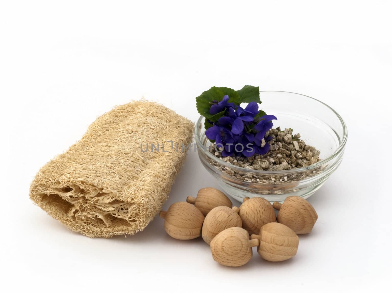 perfume ecological home on a white background