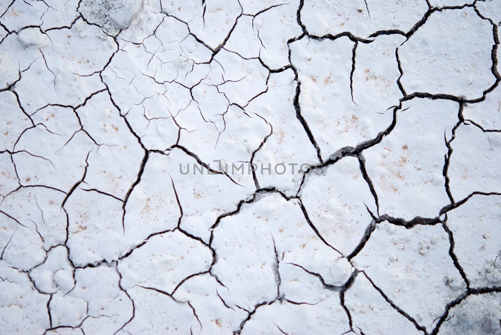 Cracked White Paint Puddle by pixelsnap