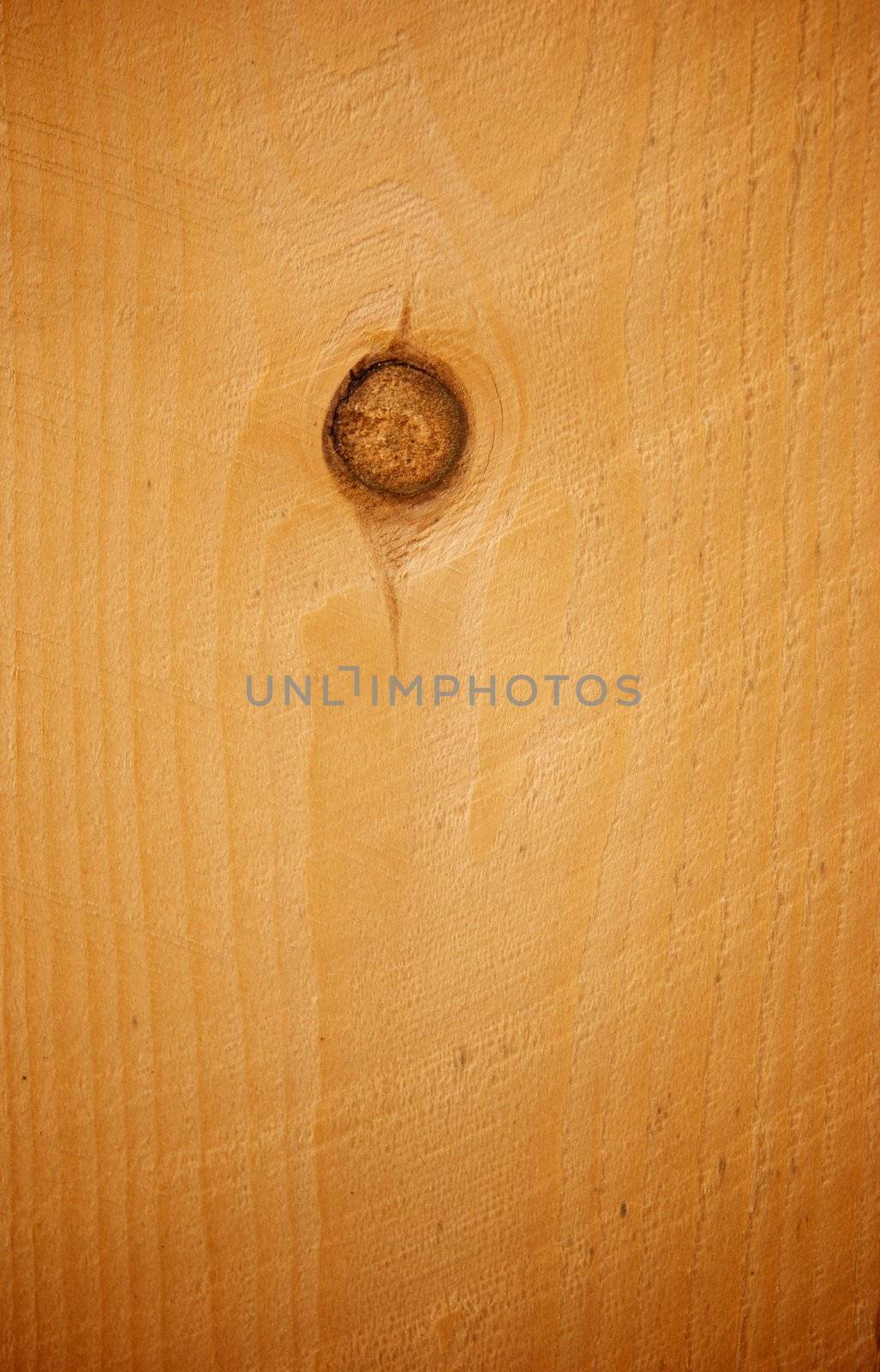 Light Pine Plank with Knot by pixelsnap