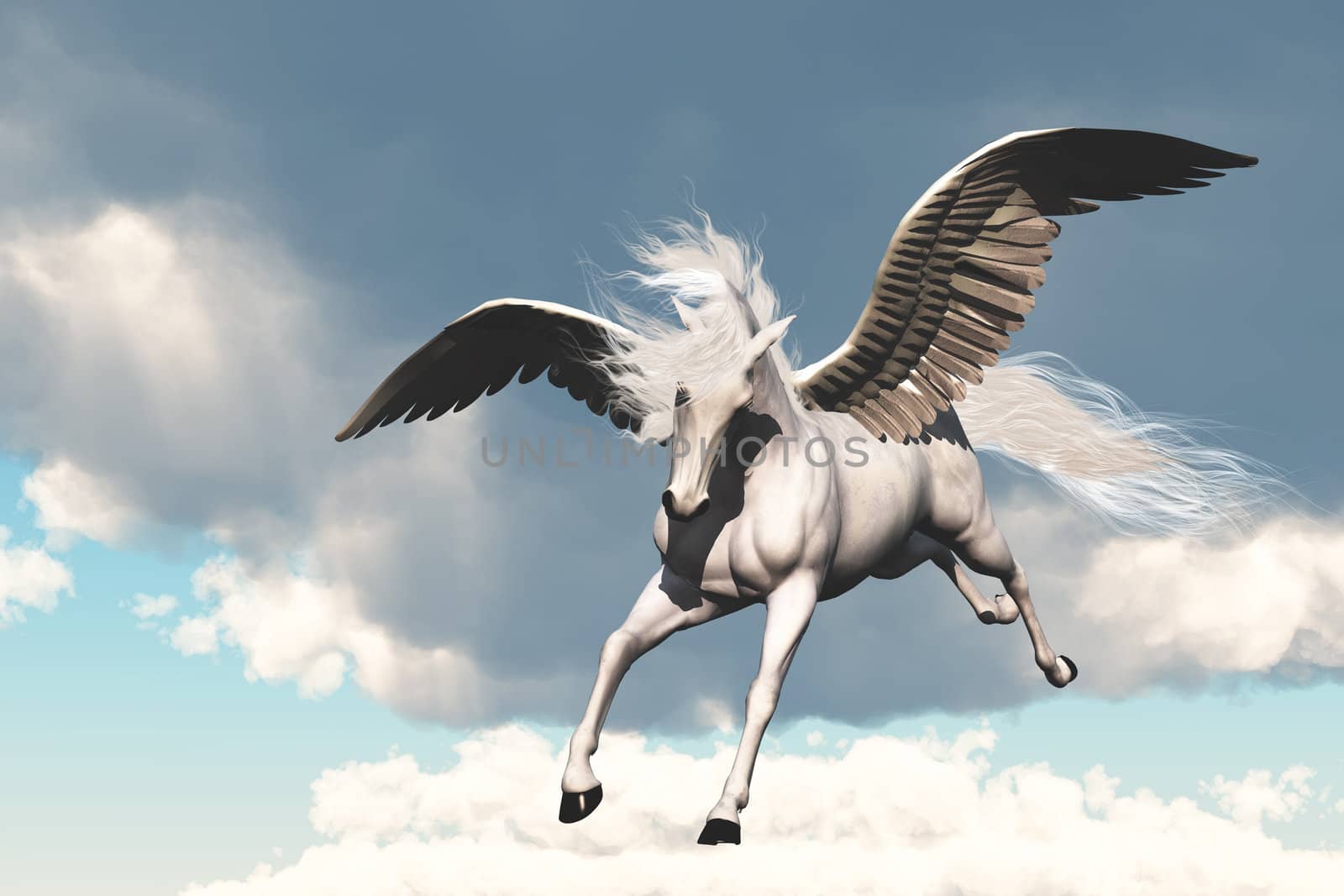 The creature of ancient fable and myth, a beautiful flying white horse.