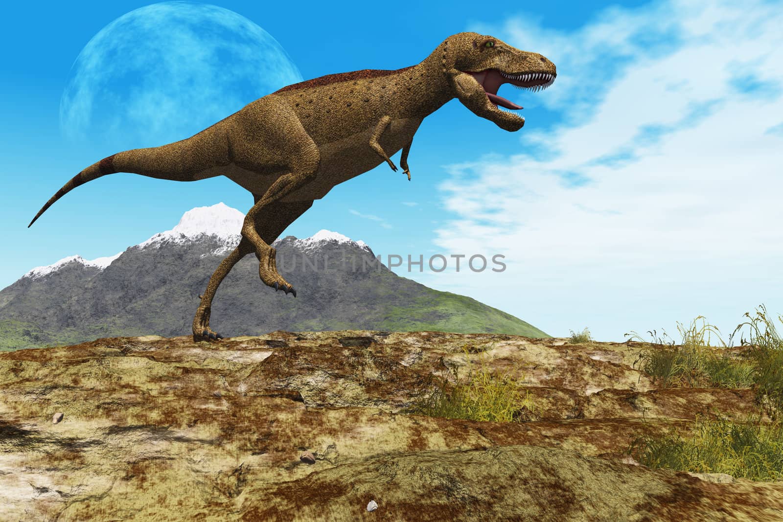 A Tyrannosaurus Rex dinosaur walks through his territory.