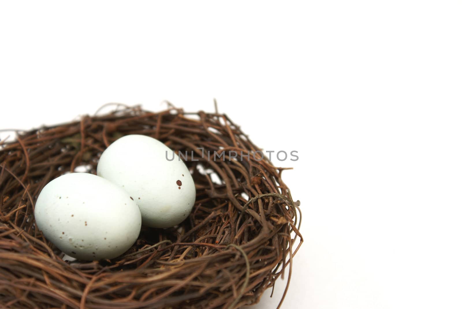 A macro shot of a bird's nest with two eggs over a white background.