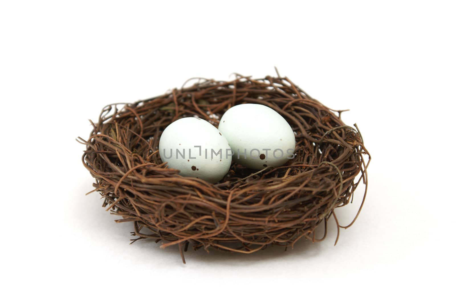 A macro shot of a bird's nest with two eggs over a white background.