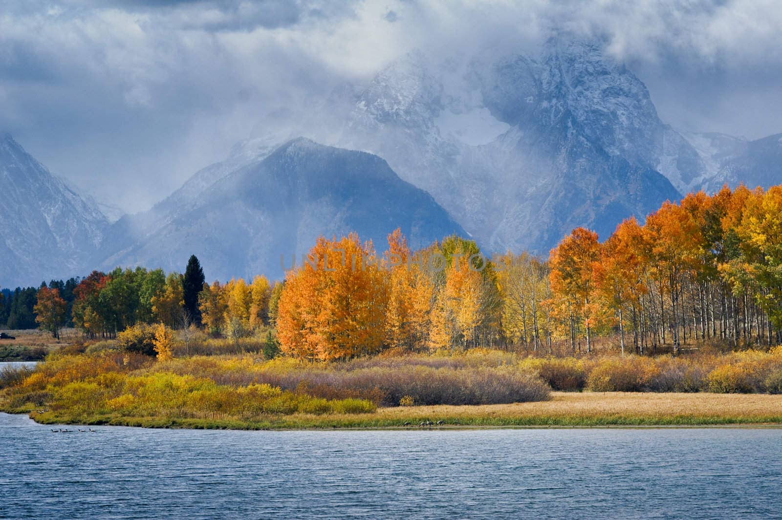 Vibrant colors of Fall at Oxbow Bend Grand Tetons
