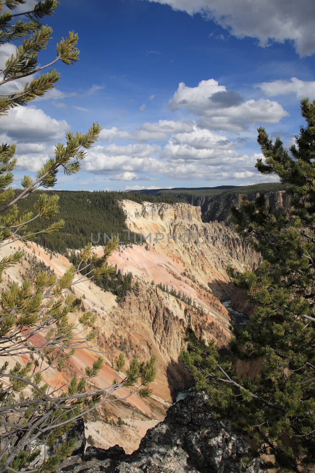 Landmark view of towering cliffs in Yellowstone National Park