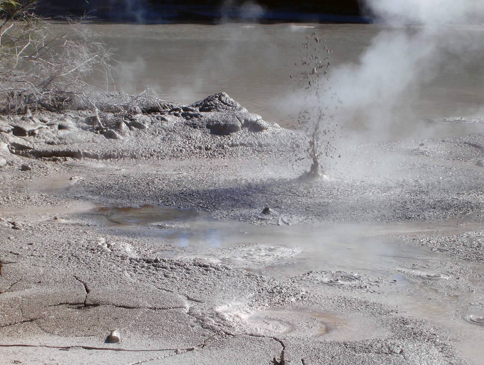 Bubbling Mud releasing Sulphur Dioxide Gas. Geothermal Activity near Rotorua, New Zealand