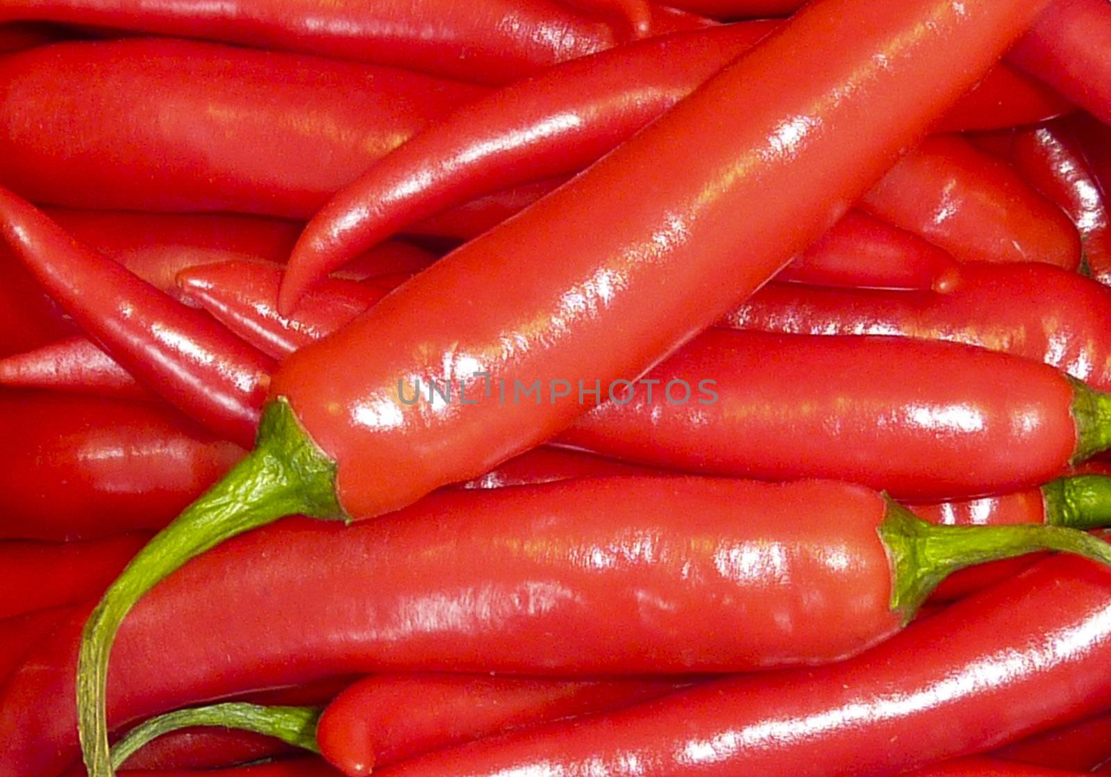 Red chilly peppers by yorkman