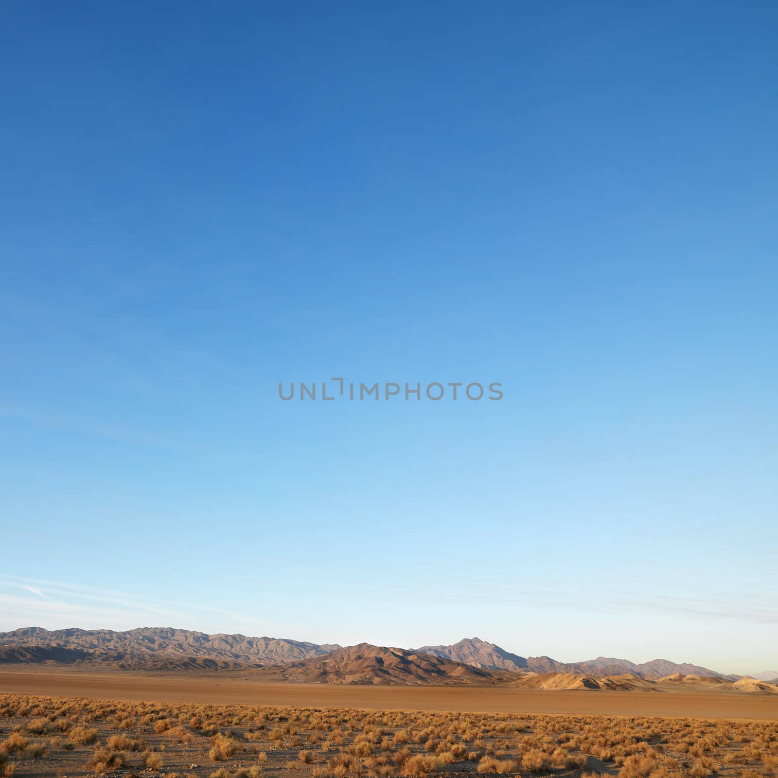 Barren desert landscape with mountains in distance.