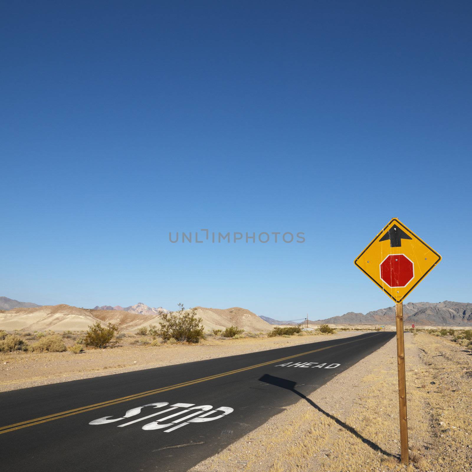Road in desert. by iofoto