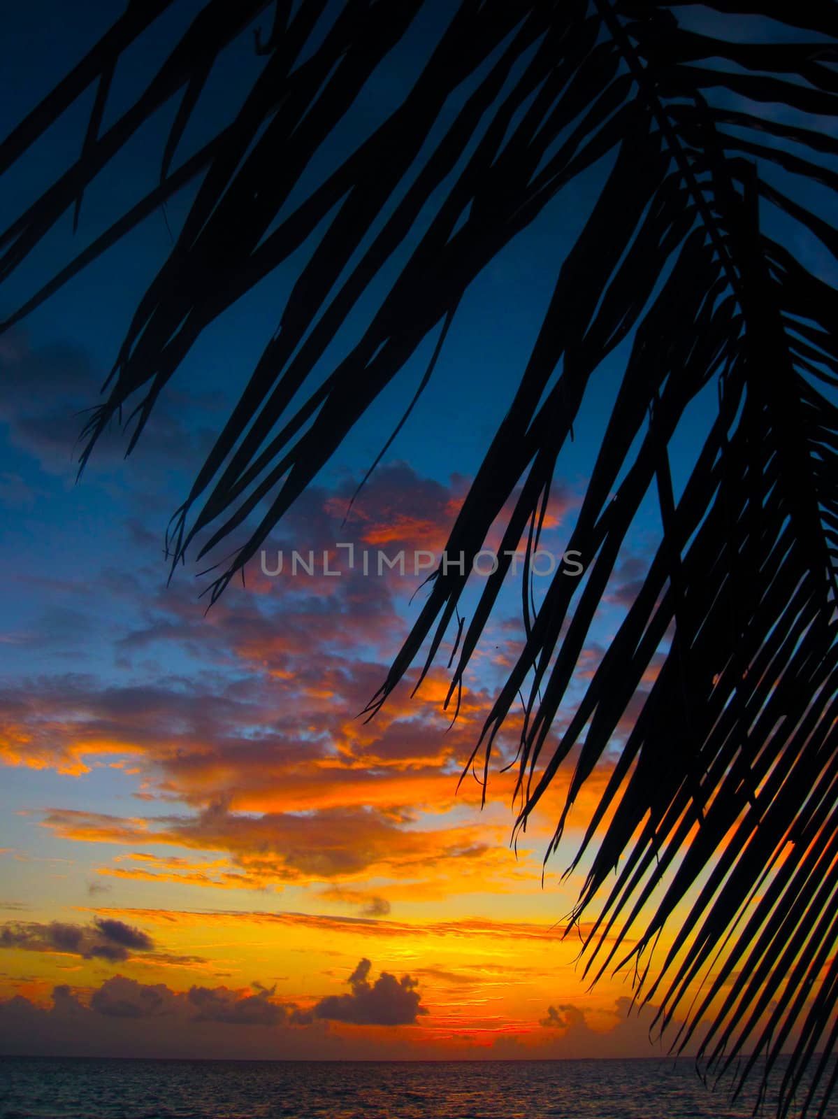 Maldivian Sunset image with nice color