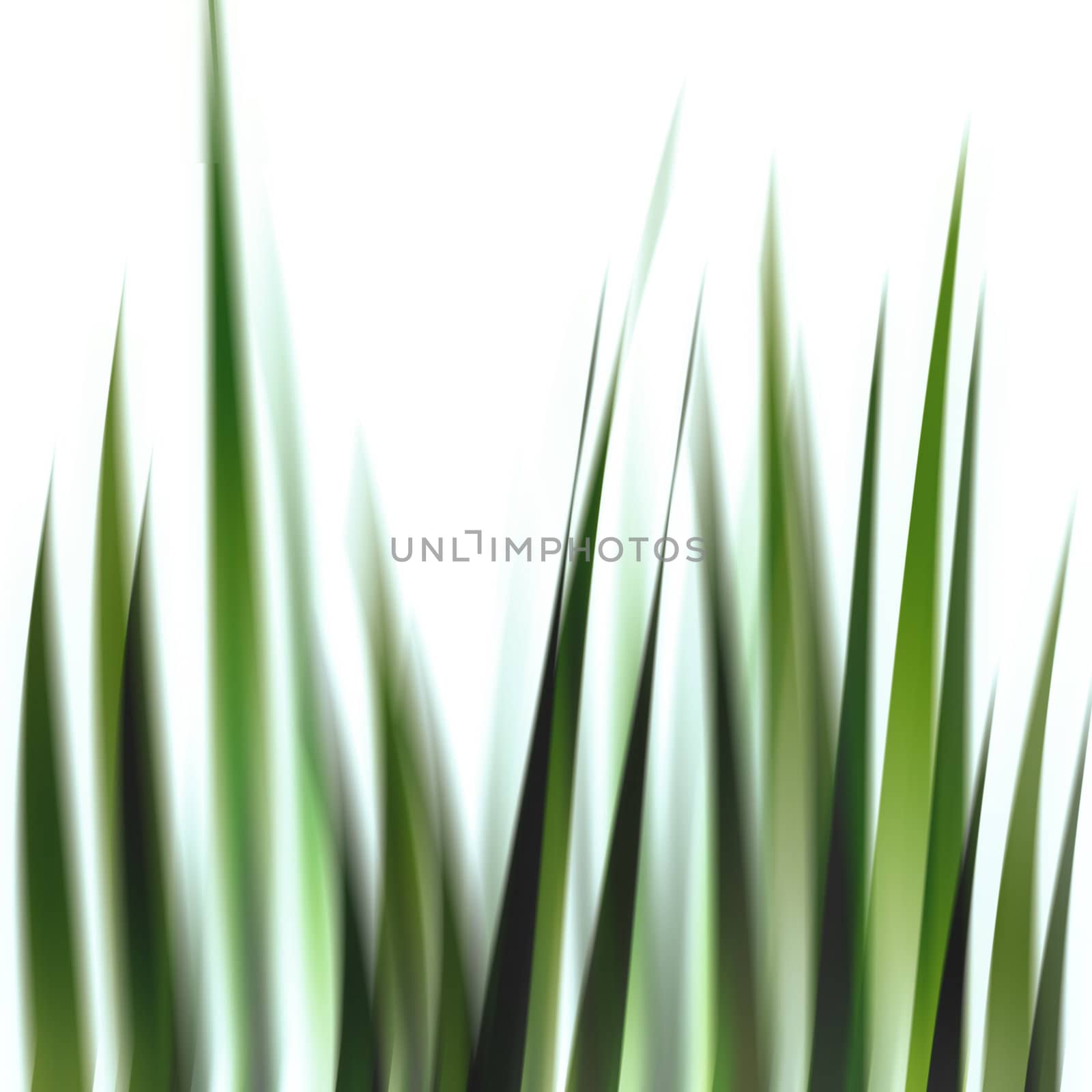 Grass illustration - 2 by Kamensky