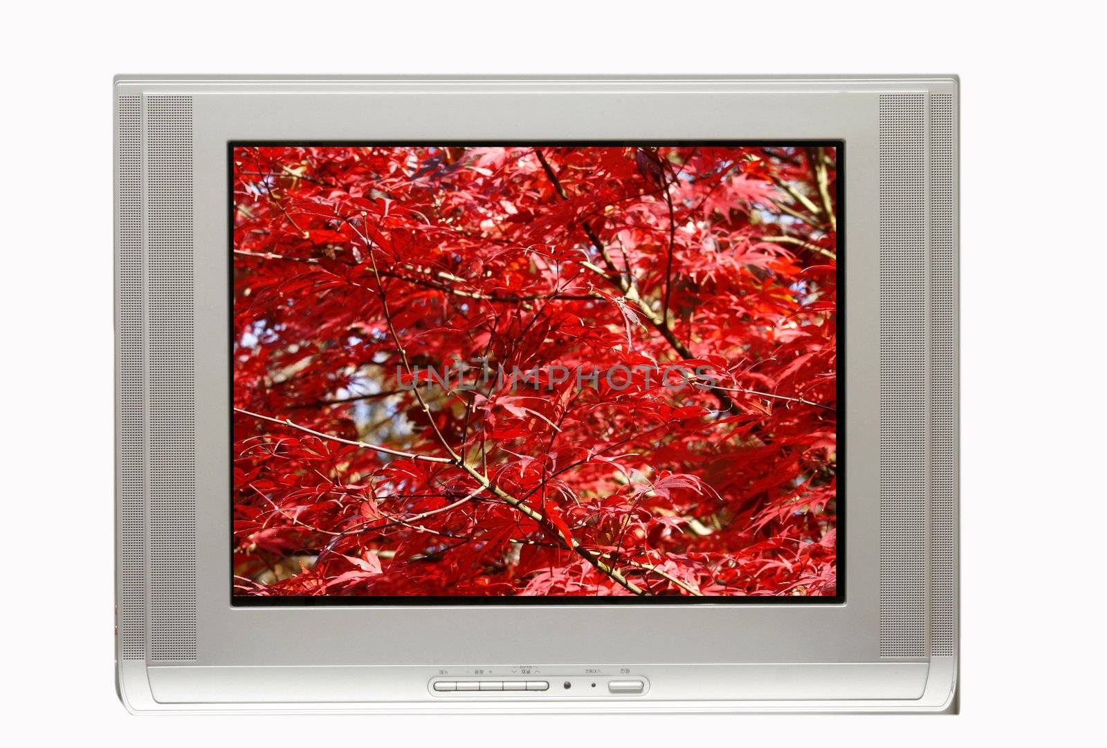 TV and Autumn Display by sacatani