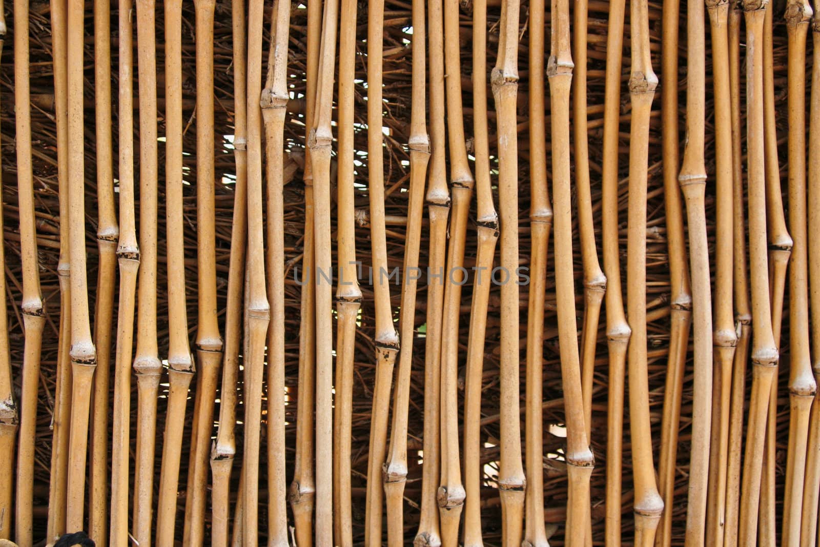 Photo of a bamboo fence that is for textures or other uses.