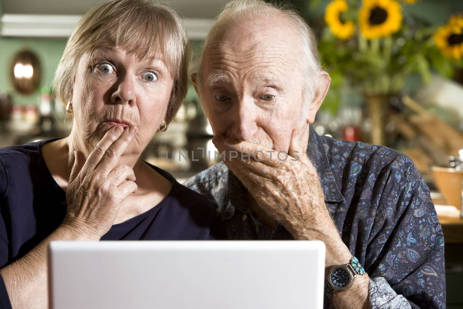 Perplexed Senior Couple in their Dining Room with a Laptop Computer