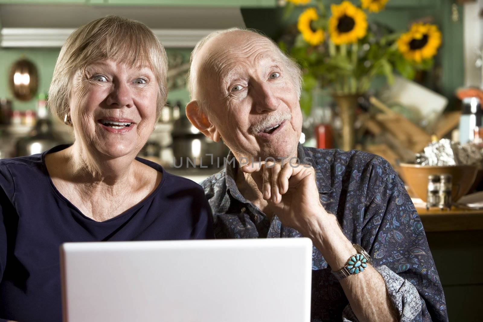Smiling Senior Couple in their Dining Room with a Laptop Computer