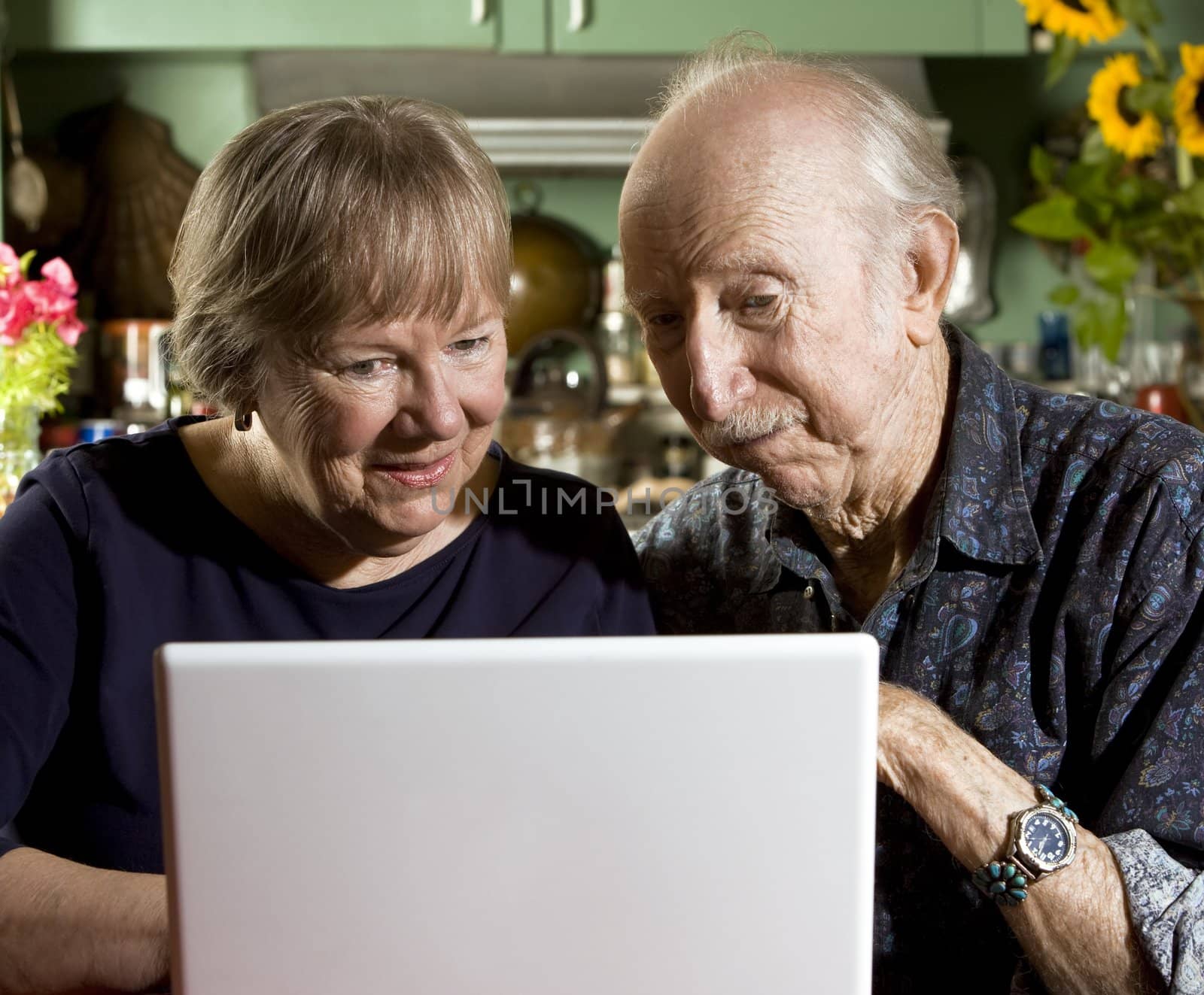 Senior Couple with a Laptop Computer by Creatista