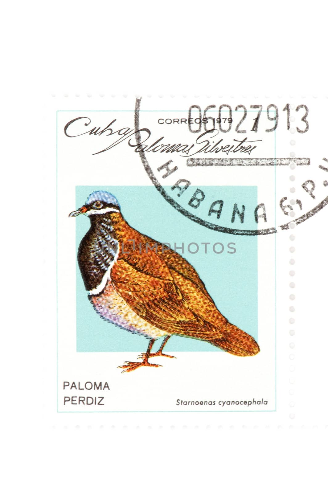 object on white - Cuban postage stamp
