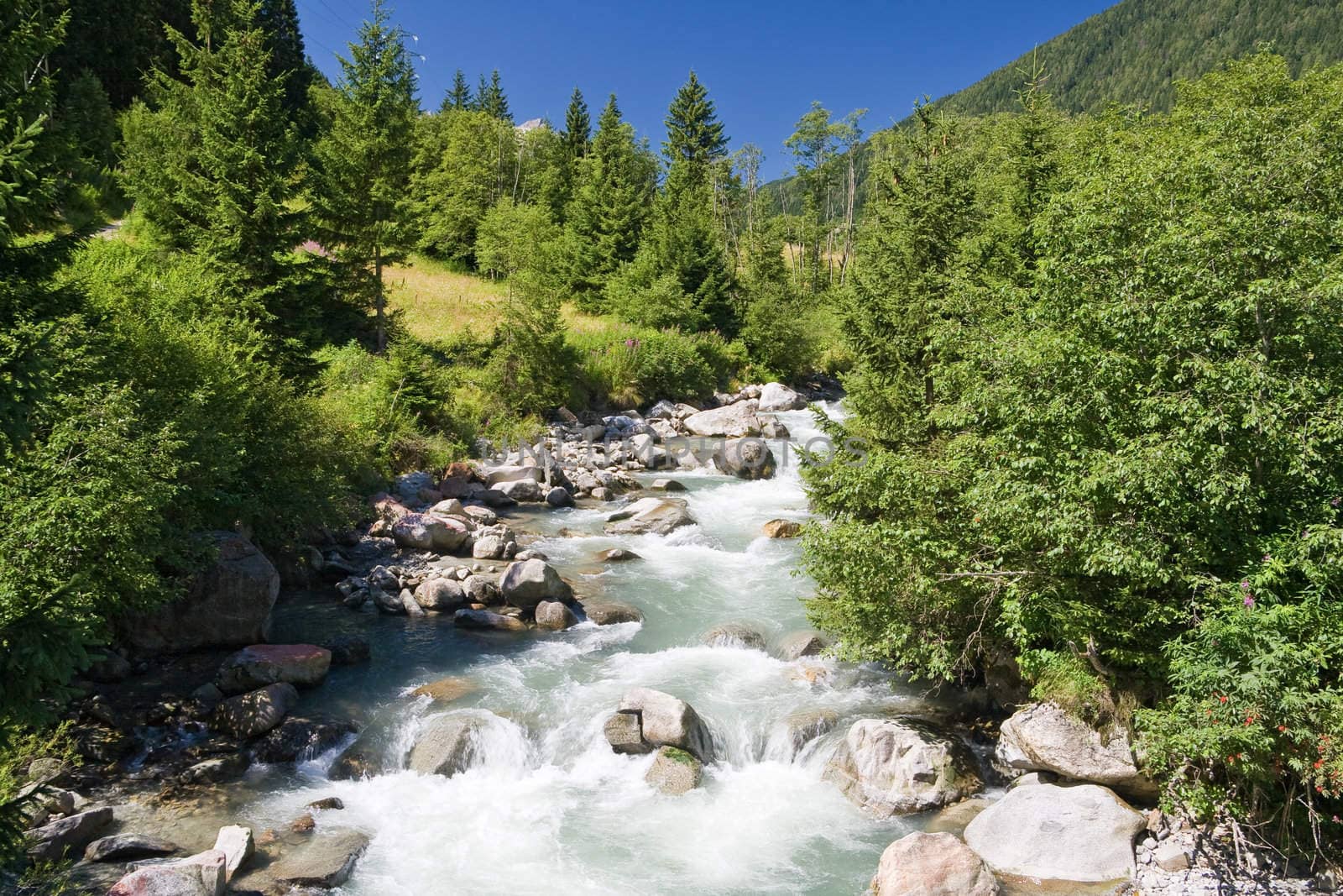 summer view of Vermigliana stream in Italian Alps. Photo taken with polarized filter