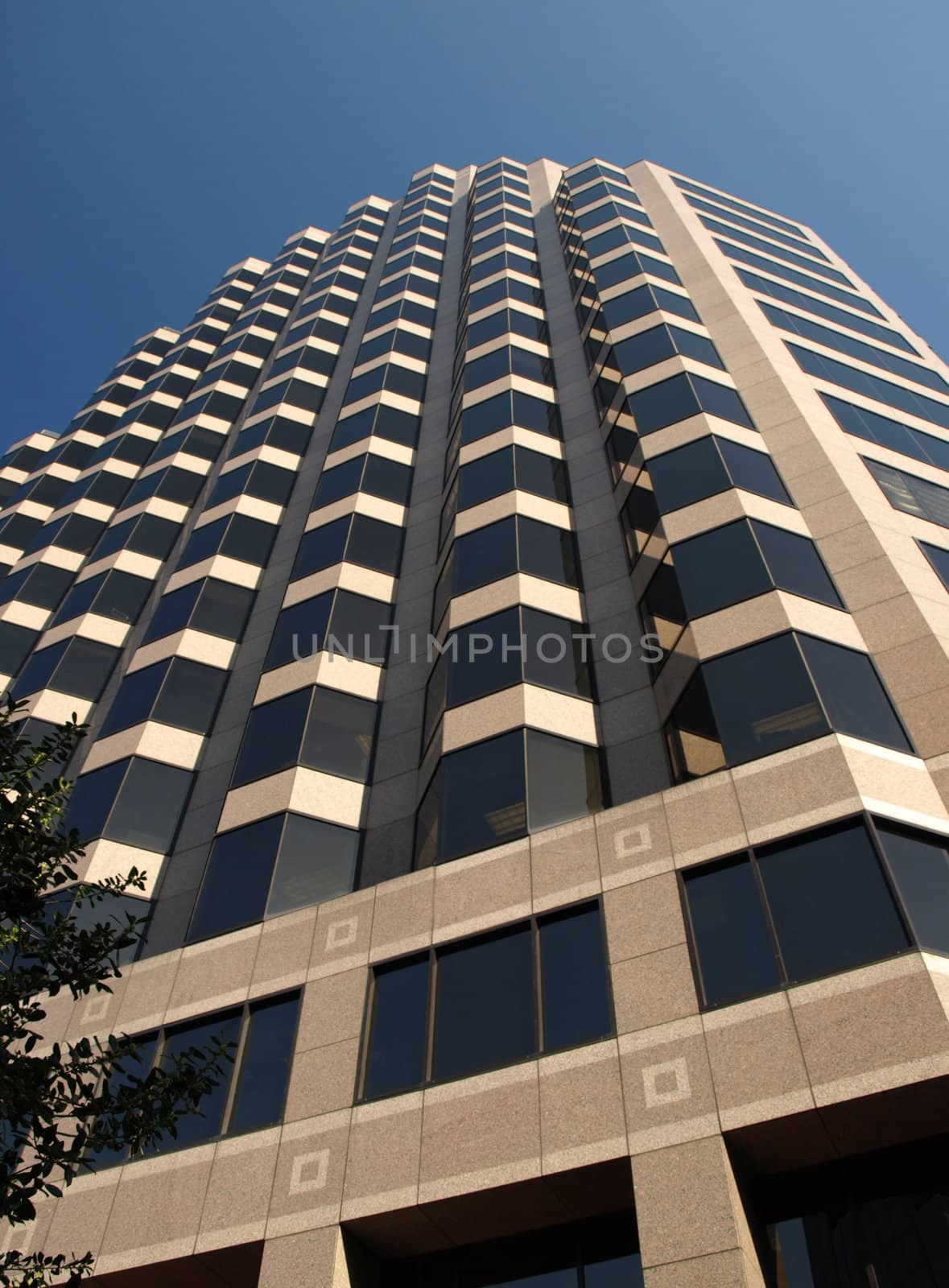 Tall office by northwoodsphoto