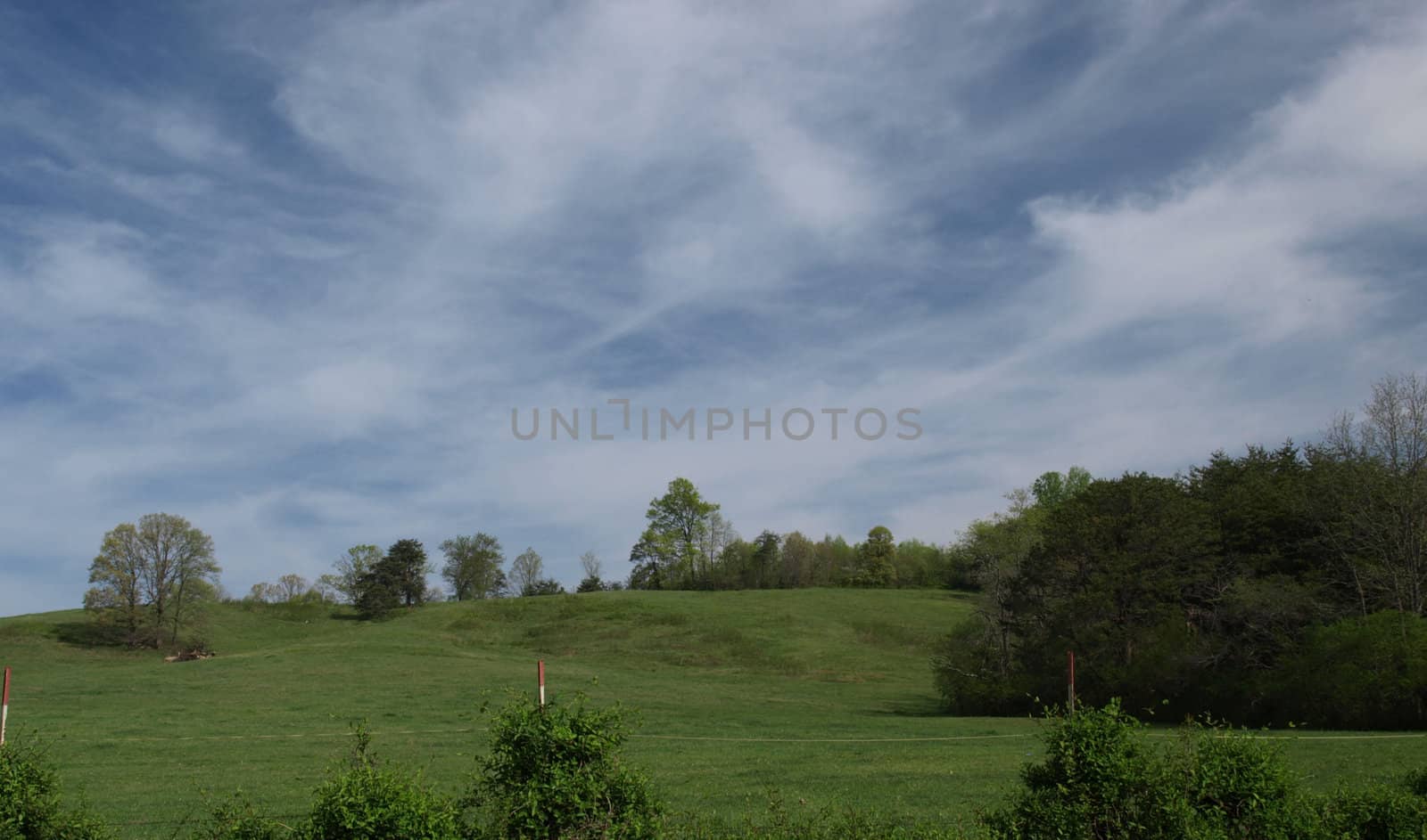 Grasslands on a rural garm