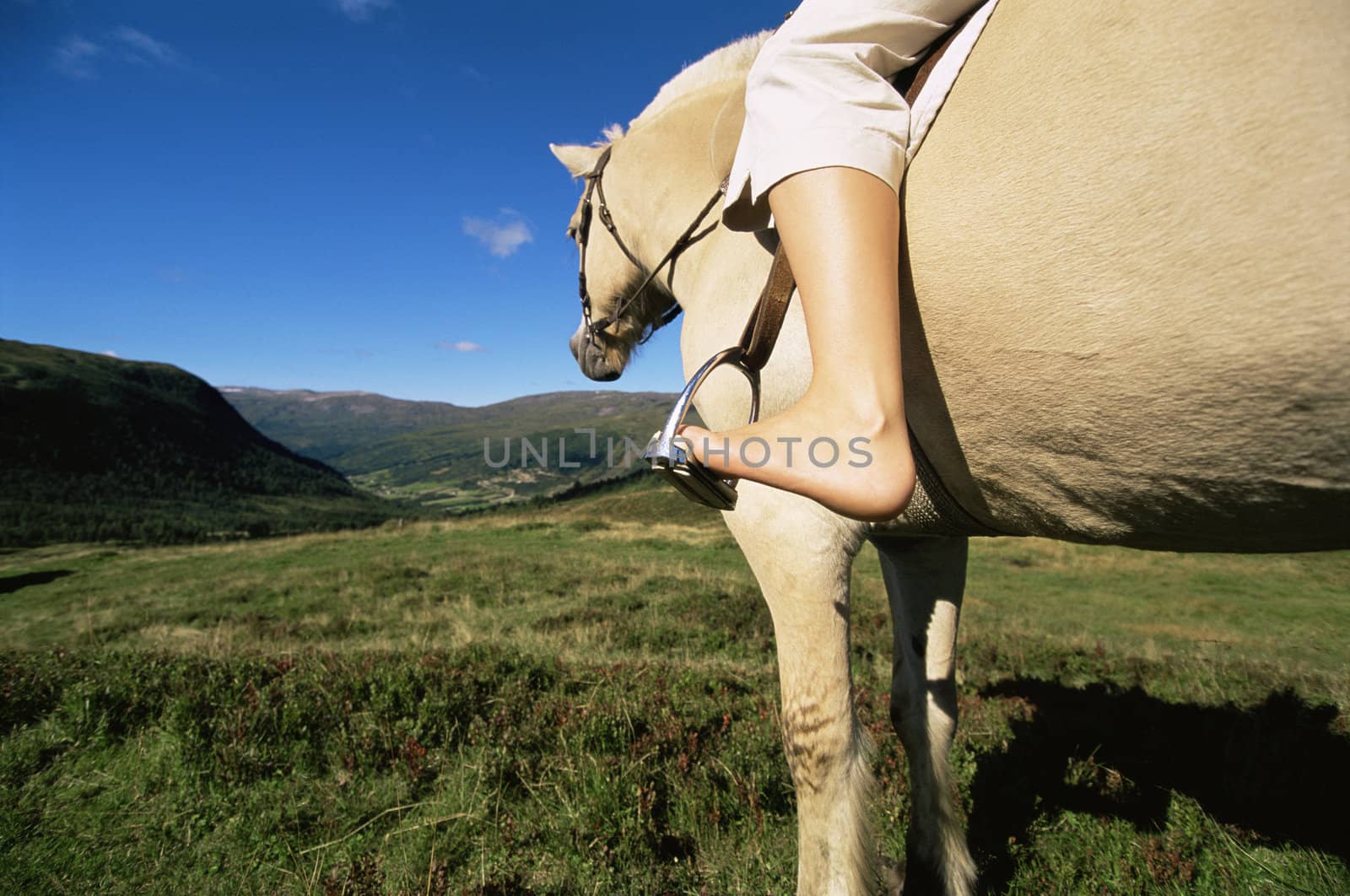 Woman outdoors riding horse in scenic location  by MonkeyBusiness