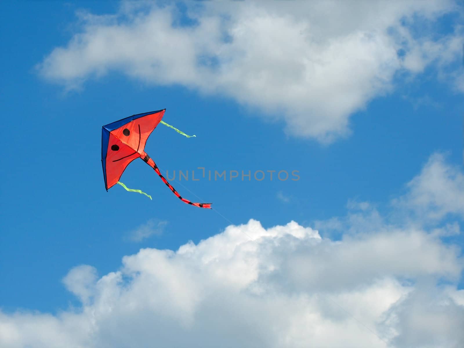 Smiled aerial serpent flies in blue sky