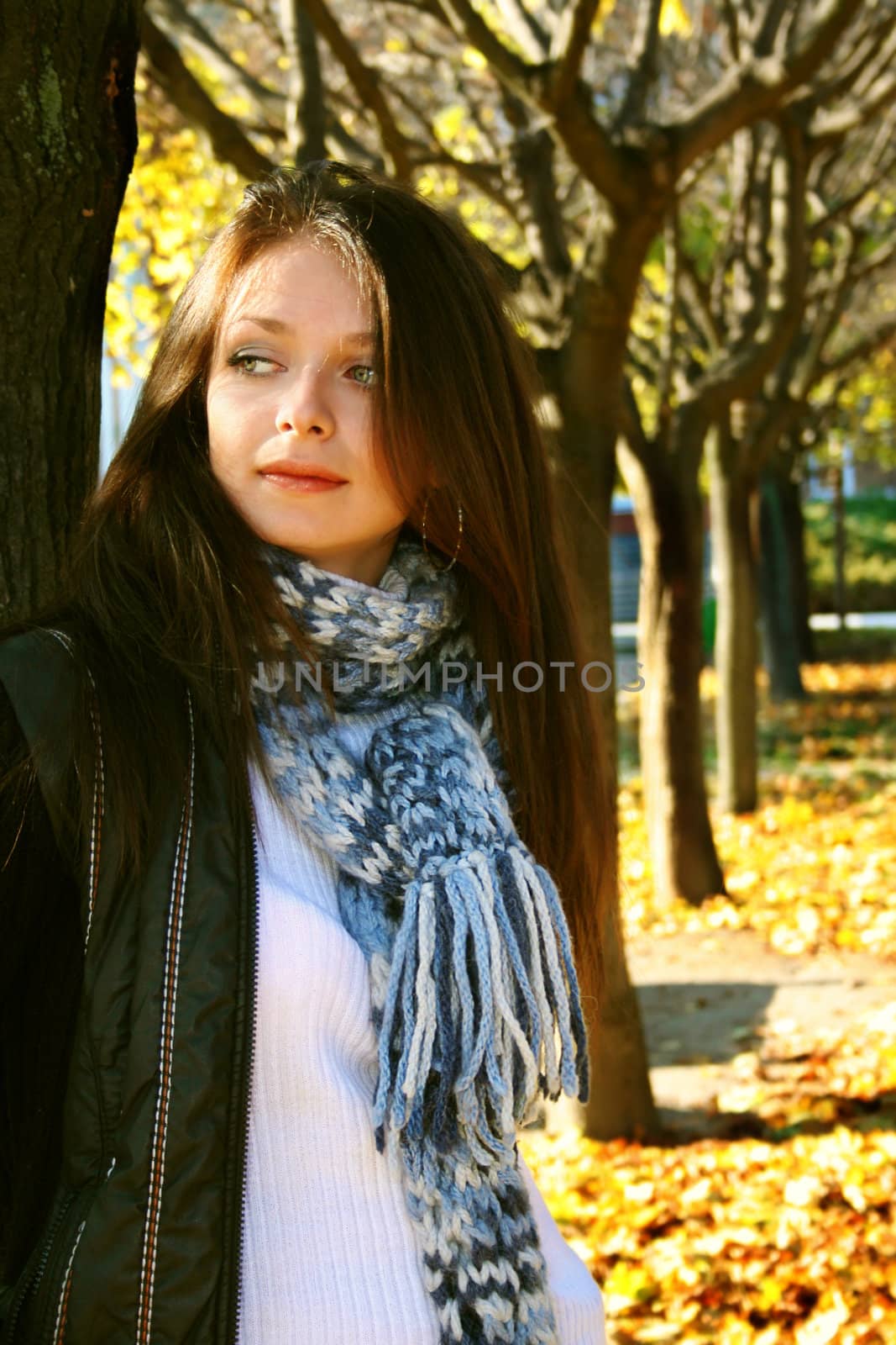 beautiful woman standing near autumn tree