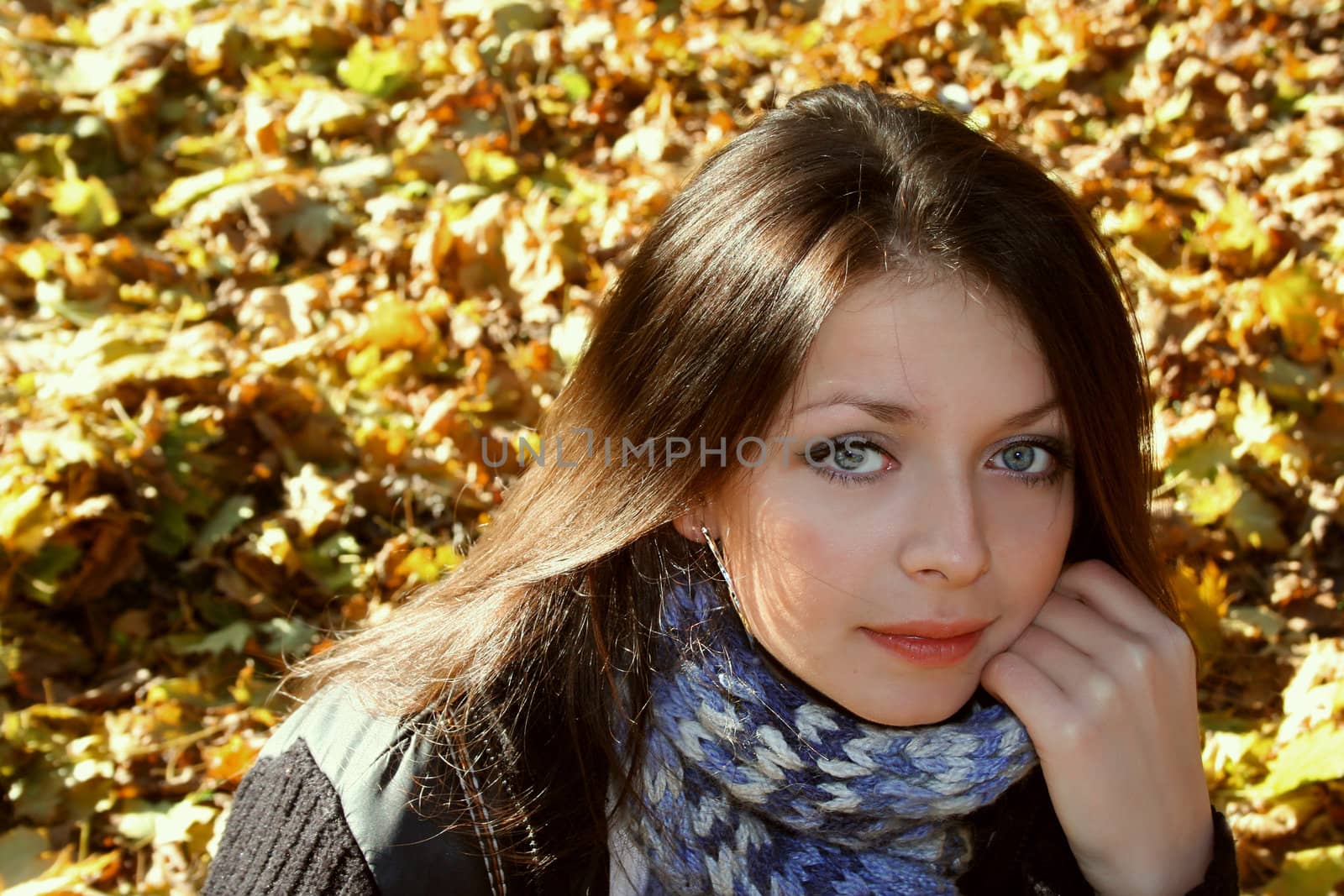 beautiful girl on autumn leaves background