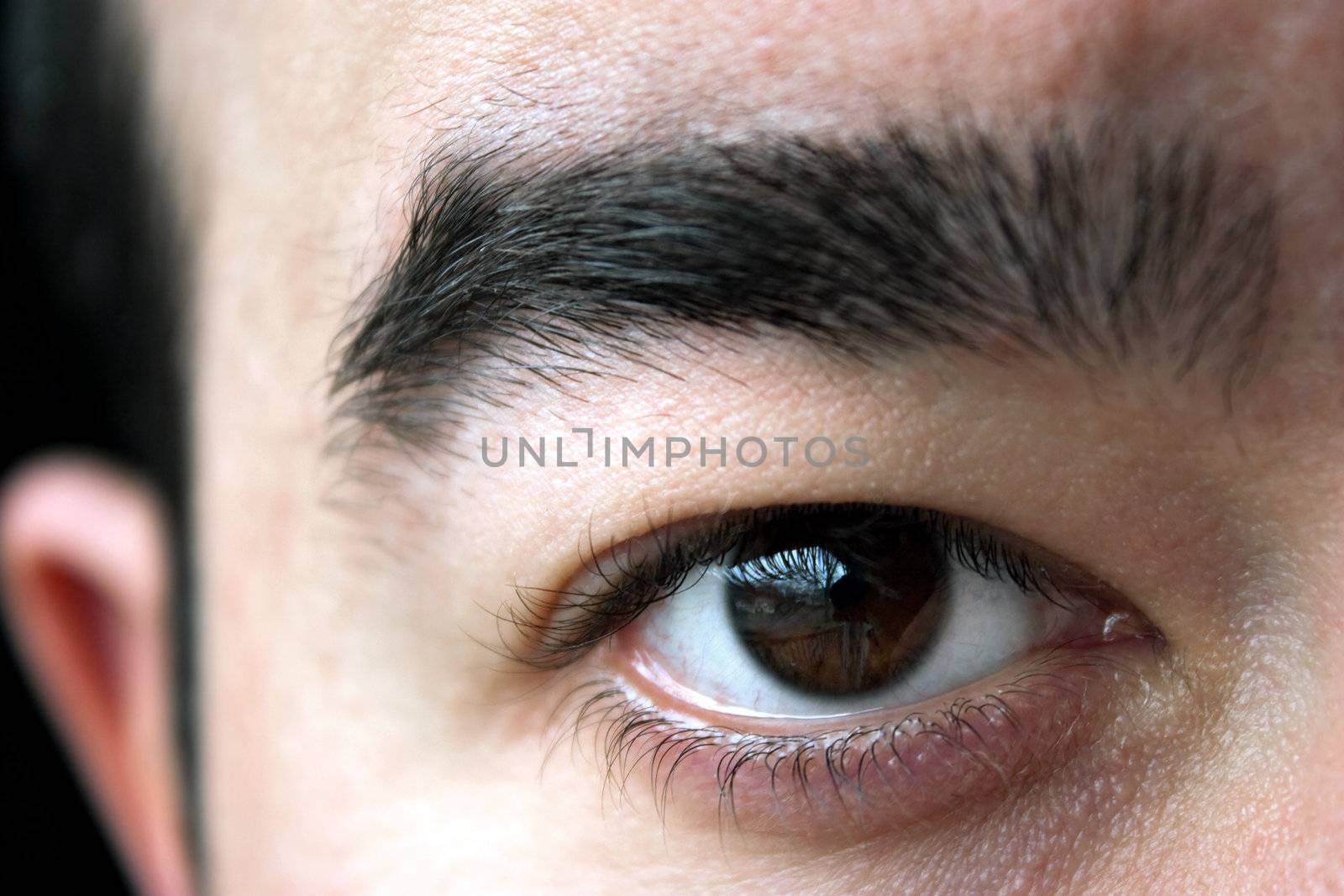 Closeup of a mans brown eye and eyebrow.  Shallow depth of field.